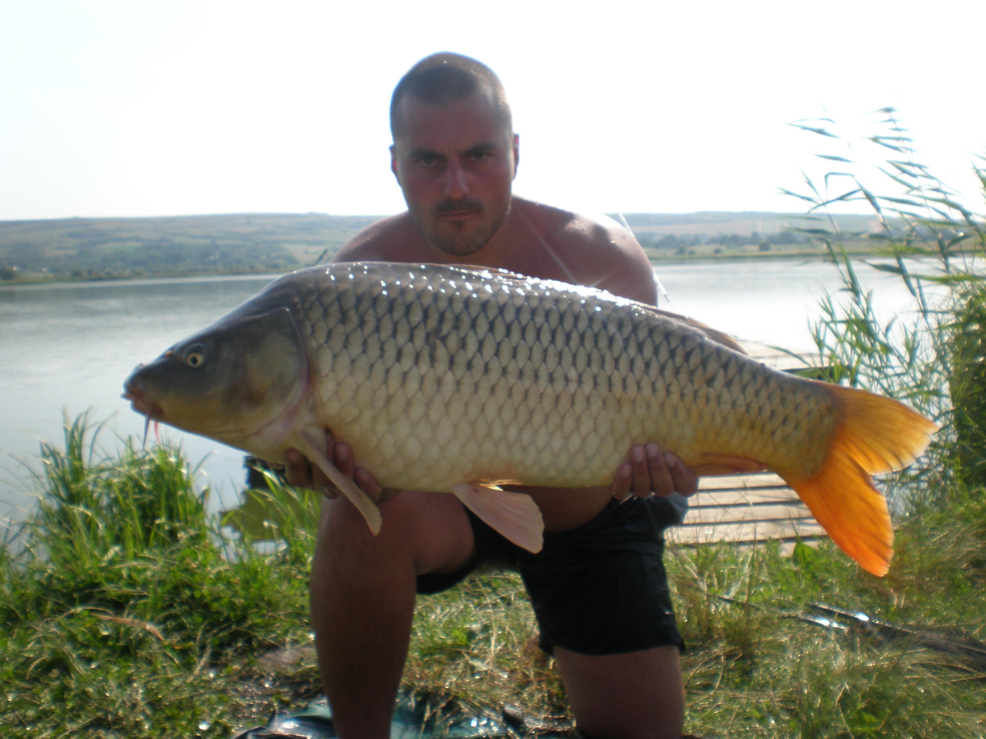 ccarp - P7250456.JPG